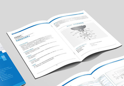 東莞企業(yè)畫冊(cè)設(shè)計(jì)與形象策劃 驅(qū)動(dòng)公司發(fā)展的雙引擎